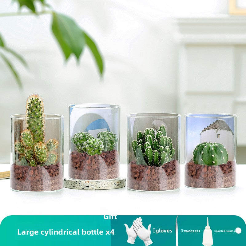 Small Potted Red Cactus for Desk Decor