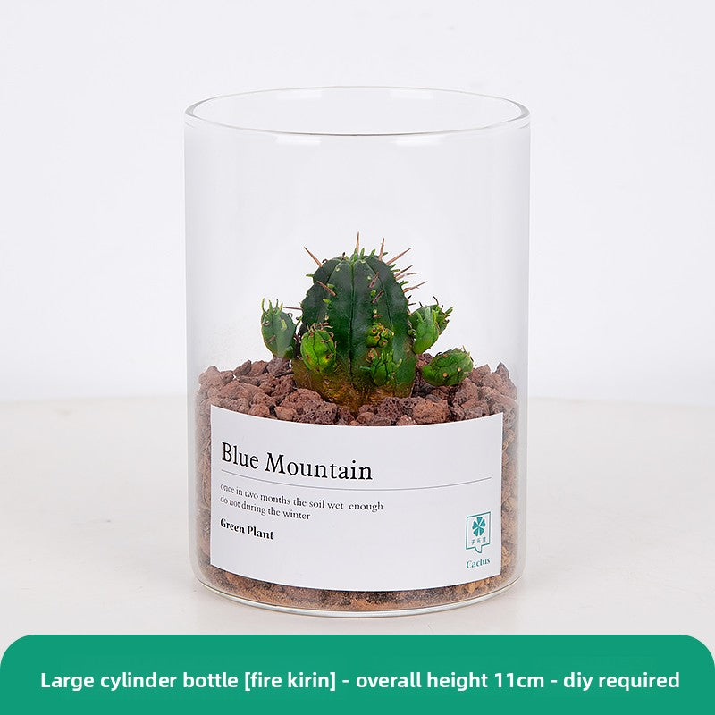 Small Potted Red Cactus for Desk Decor