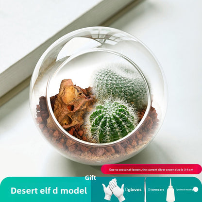 Small Potted Red Cactus for Desk Decor