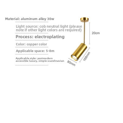 Gold LED Track Lighting System