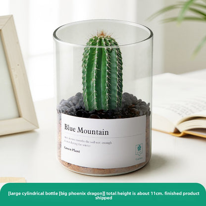 Small Potted Red Cactus for Desk Decor