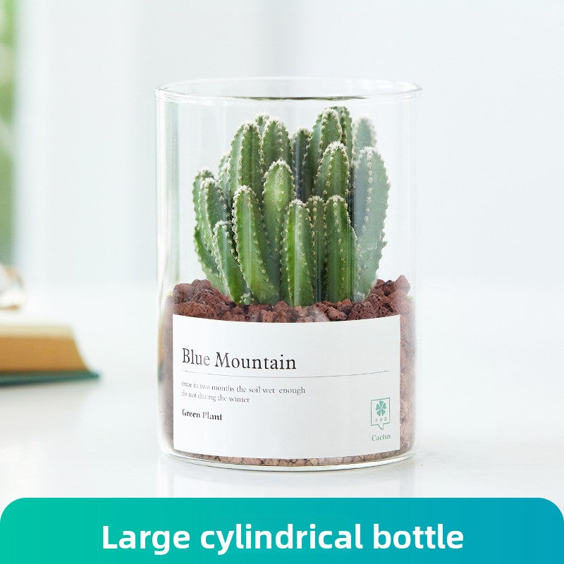 Small Potted Red Cactus for Desk Decor