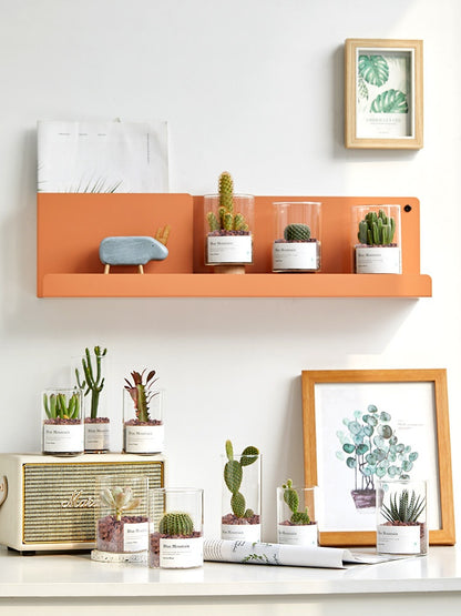 Small Potted Red Cactus for Desk Decor