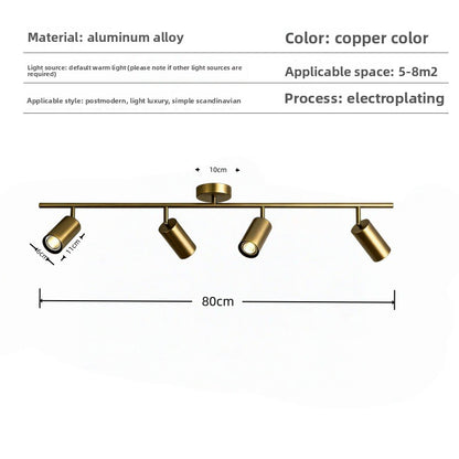 Gold LED Track Lighting System