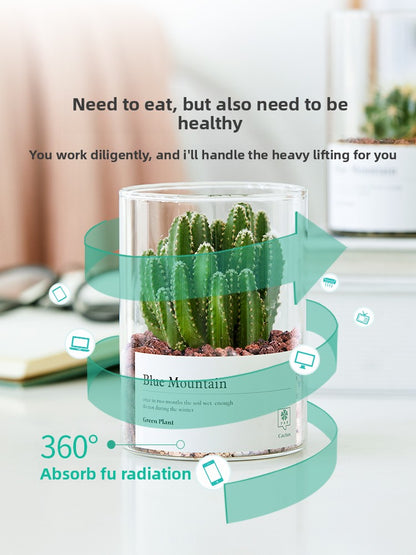 Small Potted Red Cactus for Desk Decor