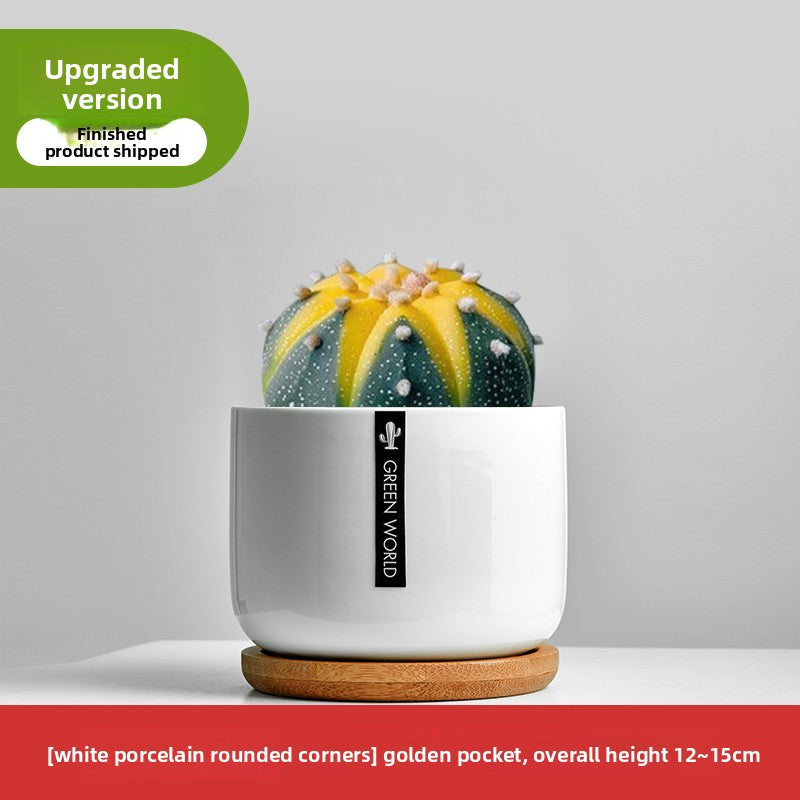 Small Potted Red Cactus for Desk Decor