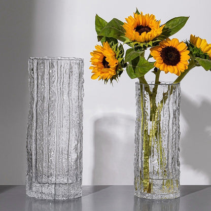 Modern Glass Hydroponic Vase for Home Decor