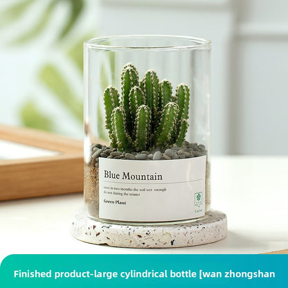 Small Potted Red Cactus for Desk Decor