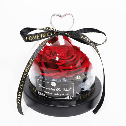 Preserved Flowers Decor
