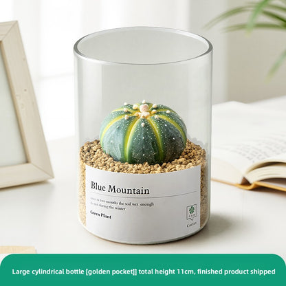 Small Potted Red Cactus for Desk Decor