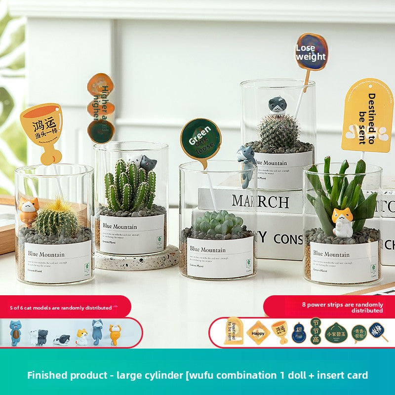 Small Potted Red Cactus for Desk Decor