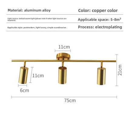 Gold LED Track Lighting System