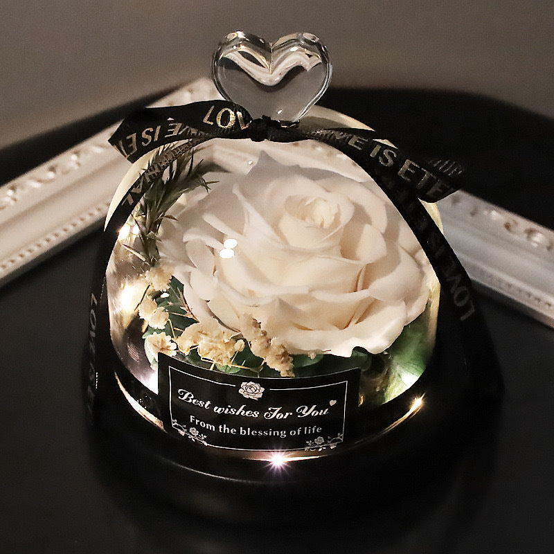 Preserved Flowers Decor