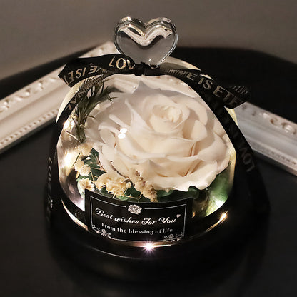 Preserved Flowers Decor