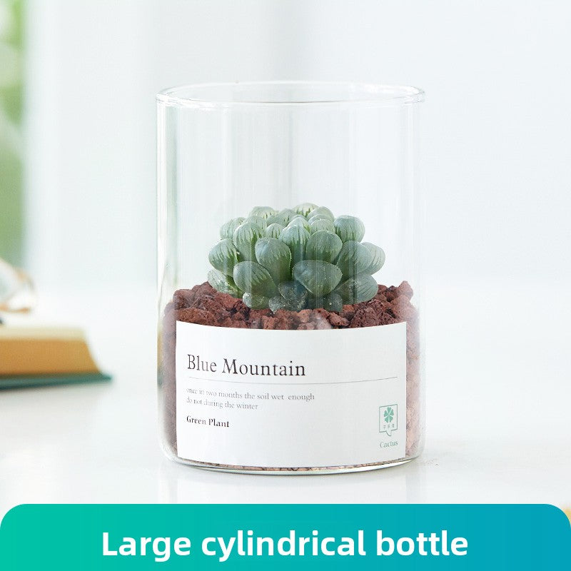 Small Potted Red Cactus for Desk Decor