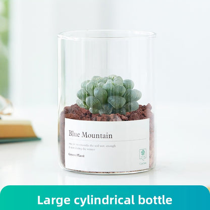 Small Potted Red Cactus for Desk Decor