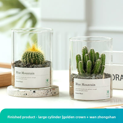 Small Potted Red Cactus for Desk Decor