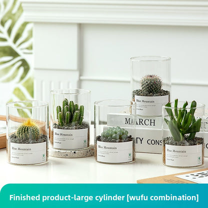 Small Potted Red Cactus for Desk Decor
