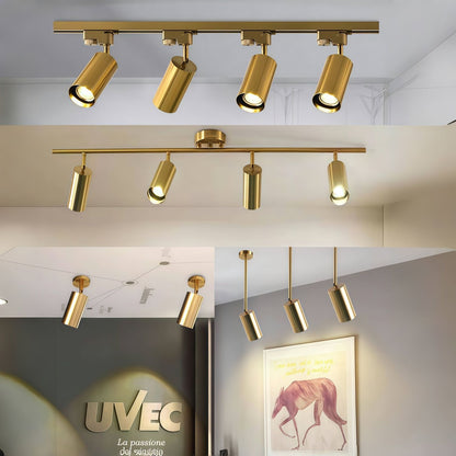 Gold LED Track Lighting System