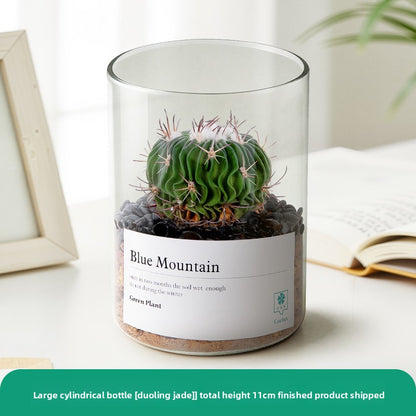 Small Potted Red Cactus for Desk Decor