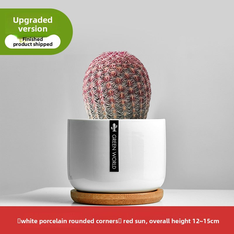 Small Potted Red Cactus for Desk Decor