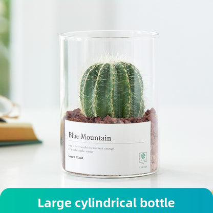 Small Potted Red Cactus for Desk Decor