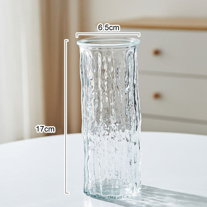 Modern Glass Hydroponic Vase for Home Decor